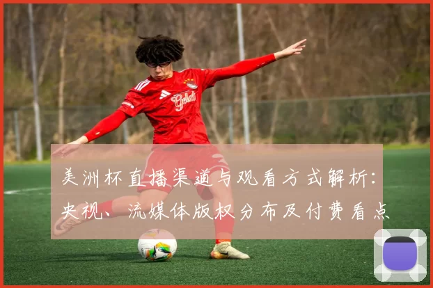 美洲杯直播渠道与观看方式解析：央视、流媒体版权分布及付费看点