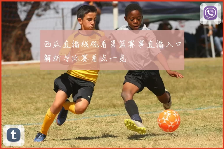 西瓜直播线观看男篮赛事直播入口解析与比赛看点一览