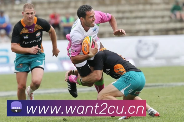 App Interface Preview